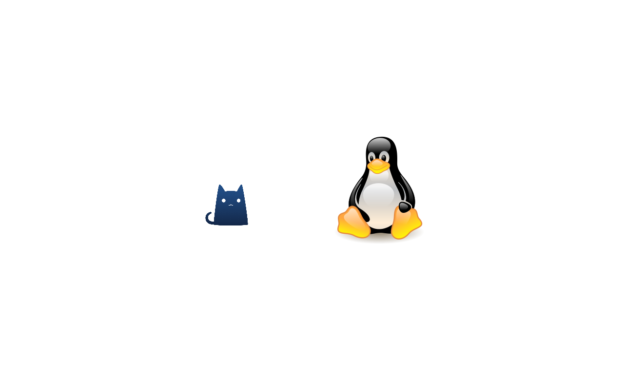 Clash for linux